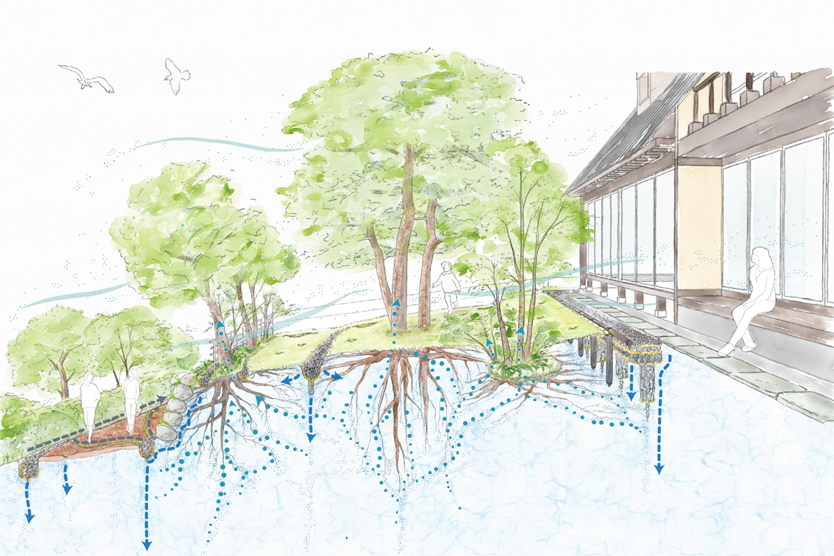 空気と水の循環をととのえる 環境の再生