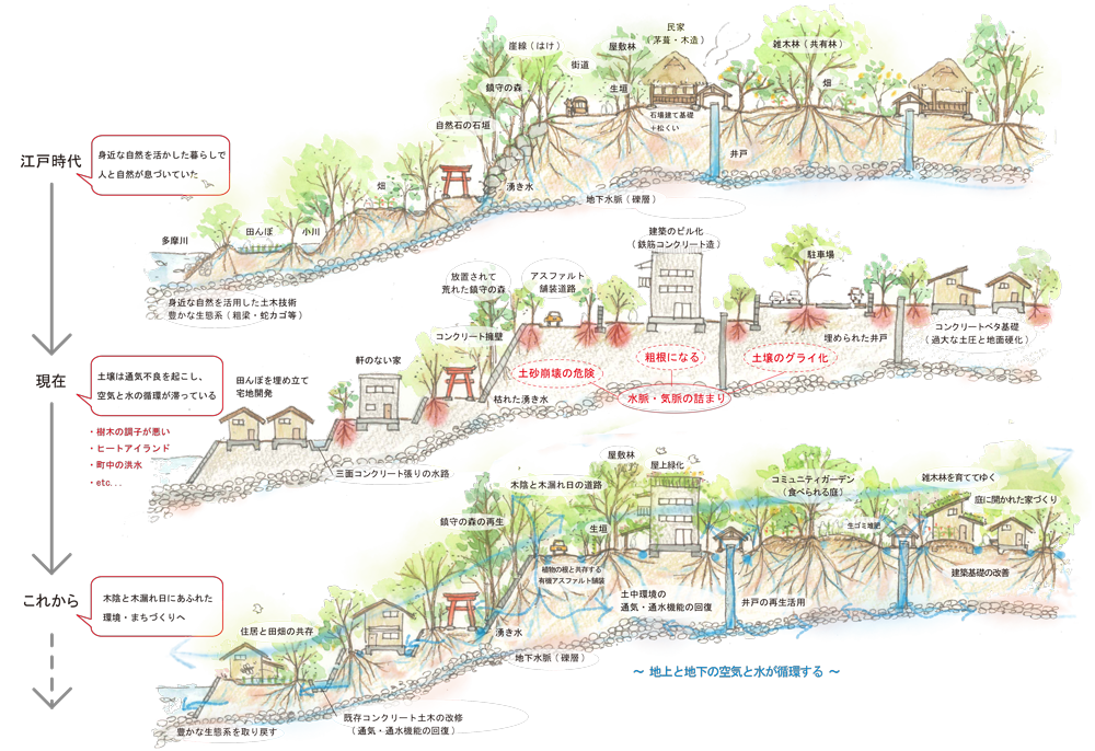 空気と⽔が循環する住環境